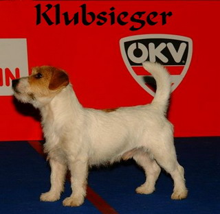 Baloubet of the Hunters Pride